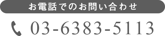 03-6383-5113
