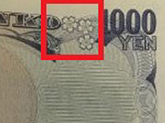 「肉眼」で見た状態の視野