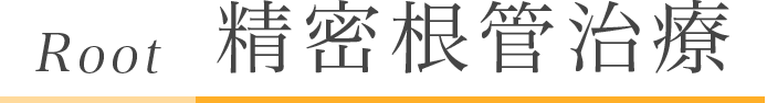 Root 精密根管治療