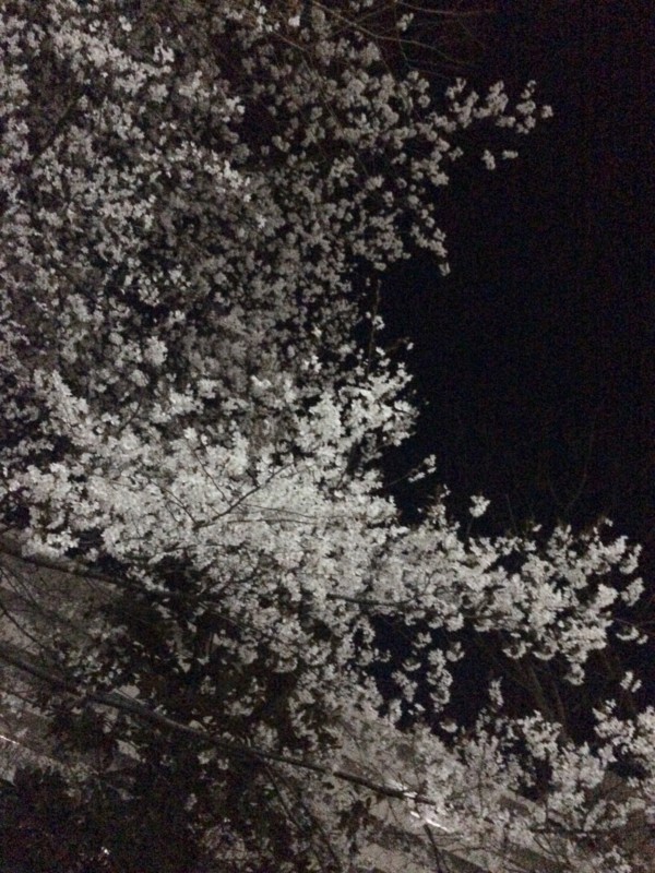 ãã®ç»åã«ã¯ alt å±æ§ãæå®ããã¦ãããããã¡ã¤ã«åã¯ FullSizeRender-6.jpg ã§ã